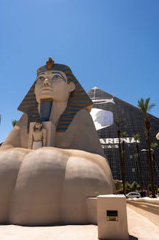 Information On S Lainat: Types, Uses, And Key Considerations